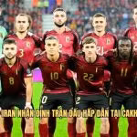 Bỉ VS Iran