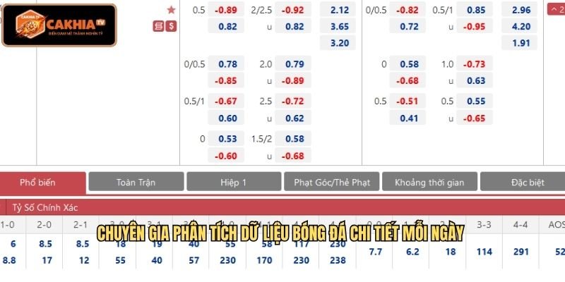 Chuyên gia phân tích dữ liệu bóng đá chi tiết mỗi ngày