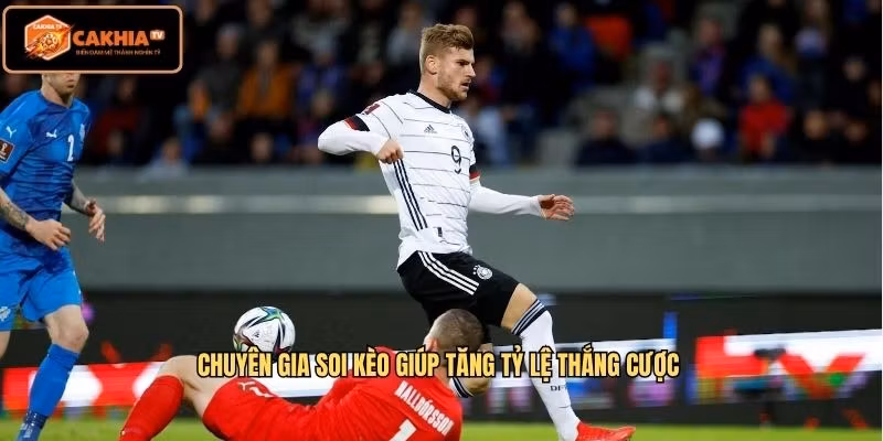Chuyên gia soi kèo giúp tăng tỷ lệ thắng cược 