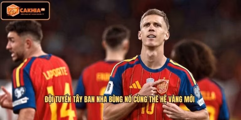 Đội tuyển Tây Ban Nha