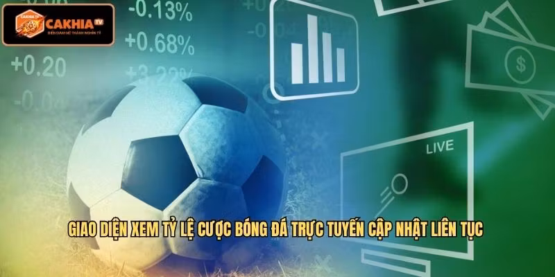 Giao diện xem tỷ lệ cược bóng đá trực tuyến cập nhật liên tục 
