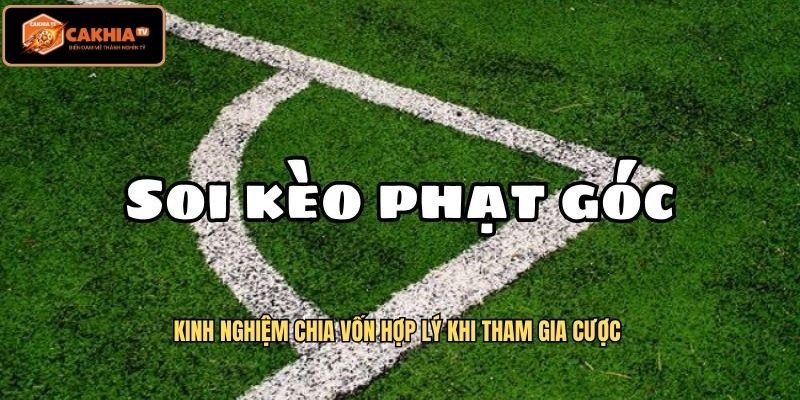 Kinh nghiệm chia vốn hợp lý khi tham gia cược