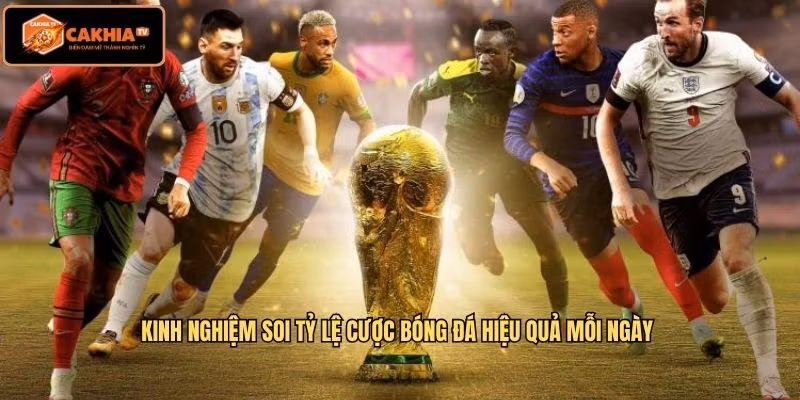 Kinh nghiệm soi tỷ lệ cược bóng đá hiệu quả mỗi ngày