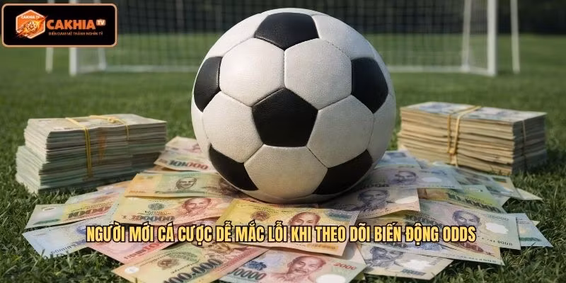 Người mới cá cược dễ mắc lỗi khi theo dõi biến động odds 