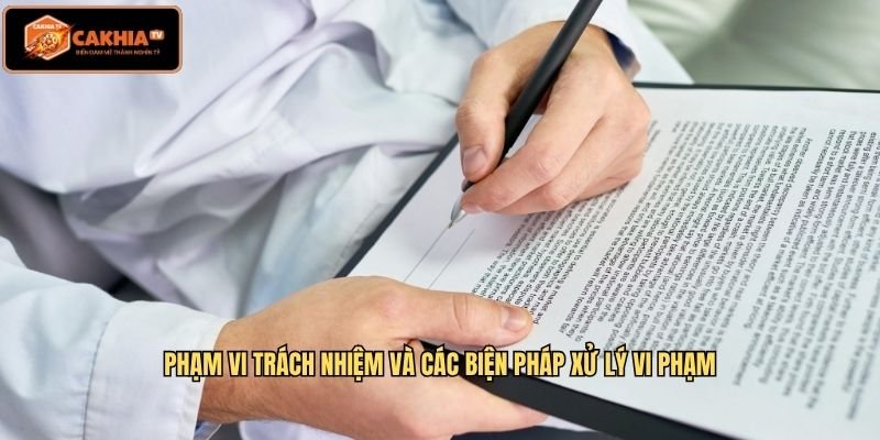 Phạm vi trách nhiệm và các biện pháp xử lý vi phạm