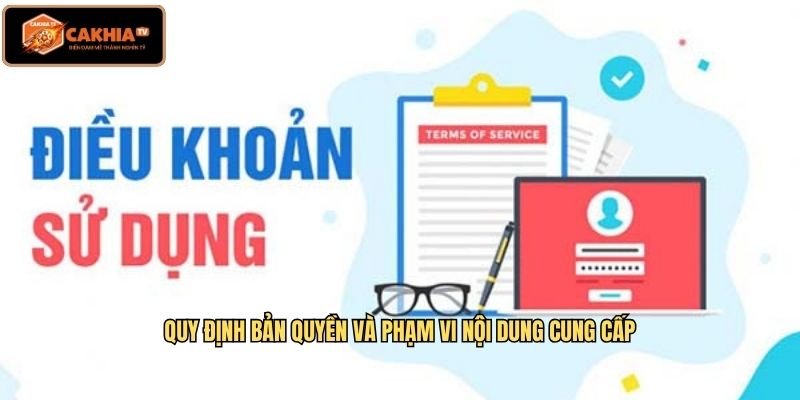 Quy định bản quyền và phạm vi nội dung cung cấp