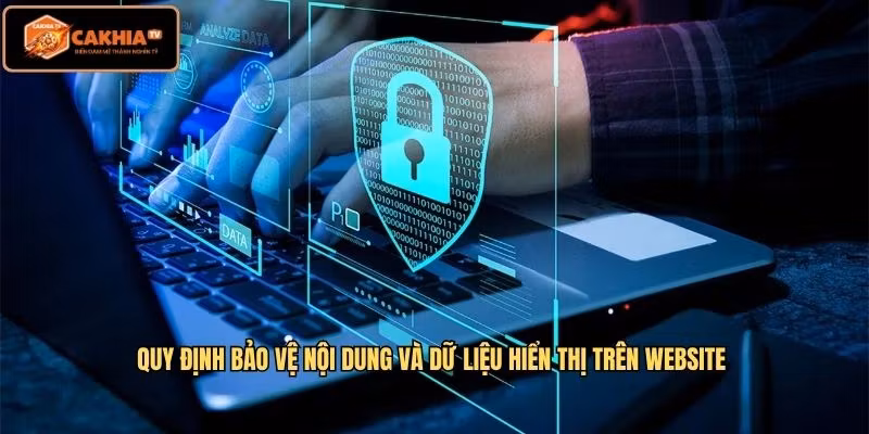 Quy định bảo vệ nội dung và dữ liệu hiển thị trên website