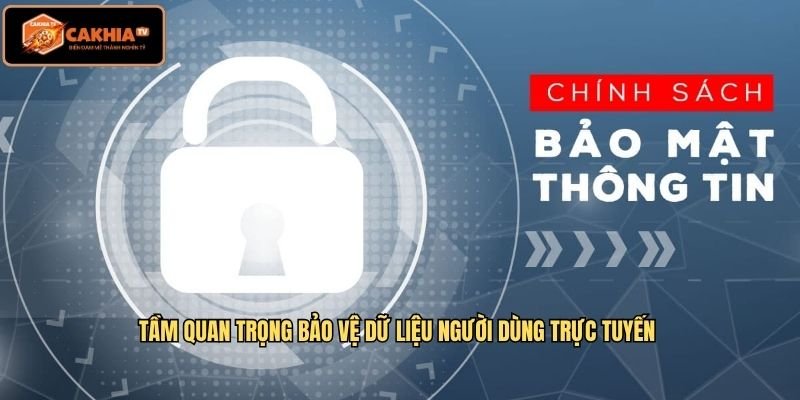 Tầm quan trọng bảo vệ dữ liệu người dùng trực tuyến