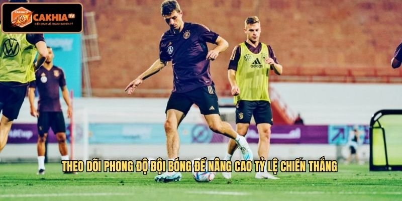 Theo dõi phong độ đội bóng để nâng cao tỷ lệ chiến thắng 